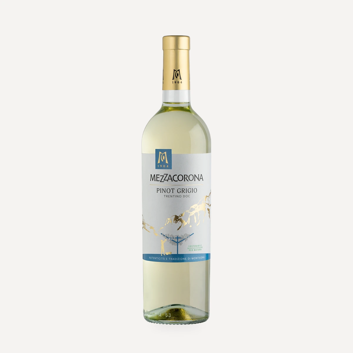 Classici Pinot Grigio Trentino DOC wine — Mezzacorona winery — Dionysus