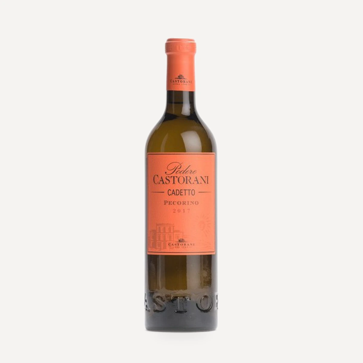 Cadetto Pecorino Colline Pescaresi IGT wine — Castorani winery — Dionysus