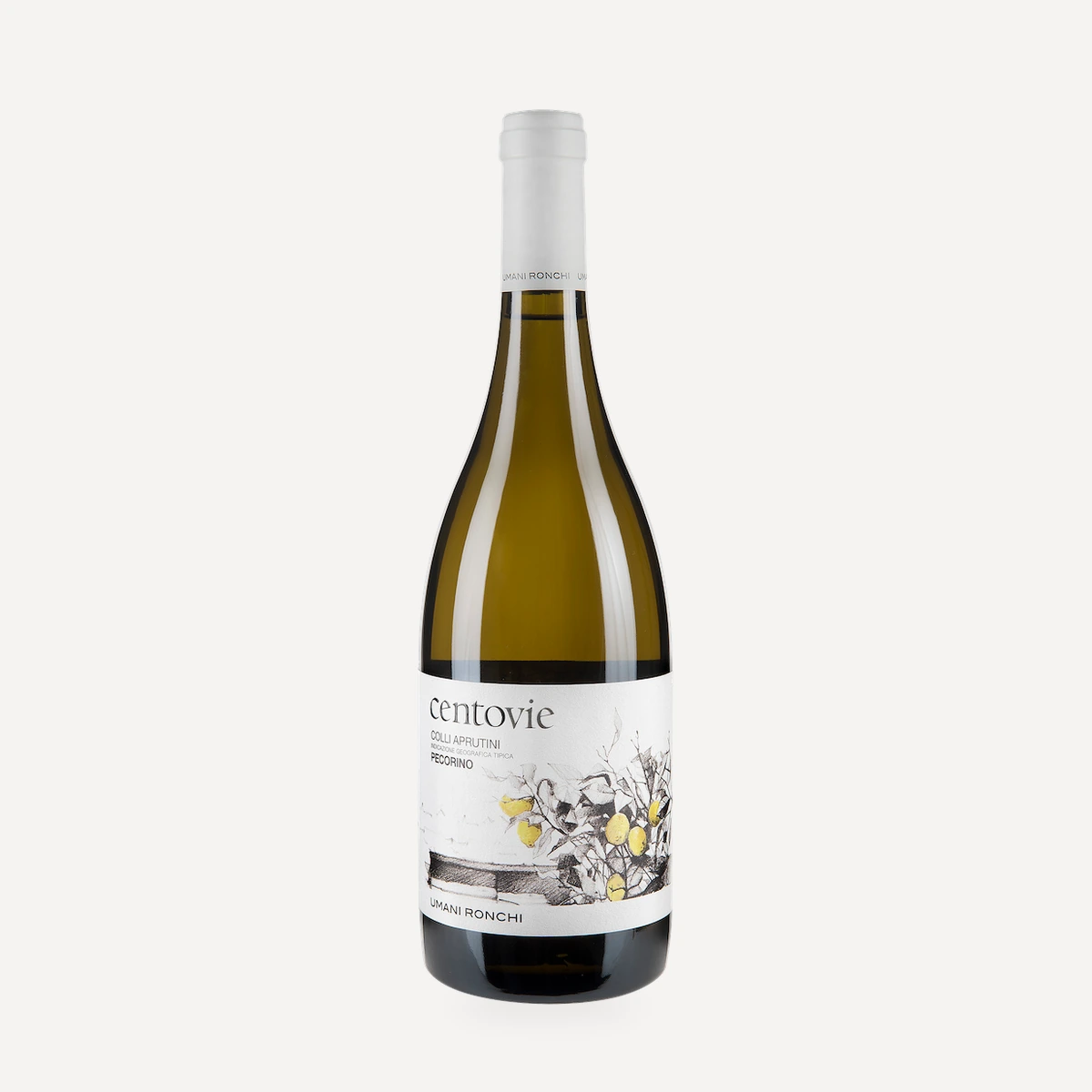 Centovie Colli Aprutini Pecorino IGT wine — Tenuta Centovie winery — Dionysus