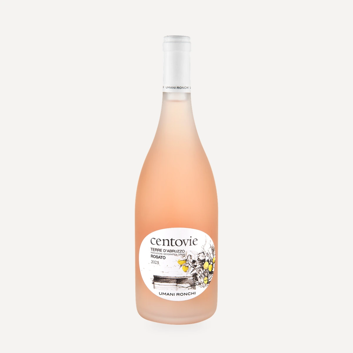 Centovie Terre d'Abruzzo Rosato IGT wine — Tenuta Centovie winery — Dionysus