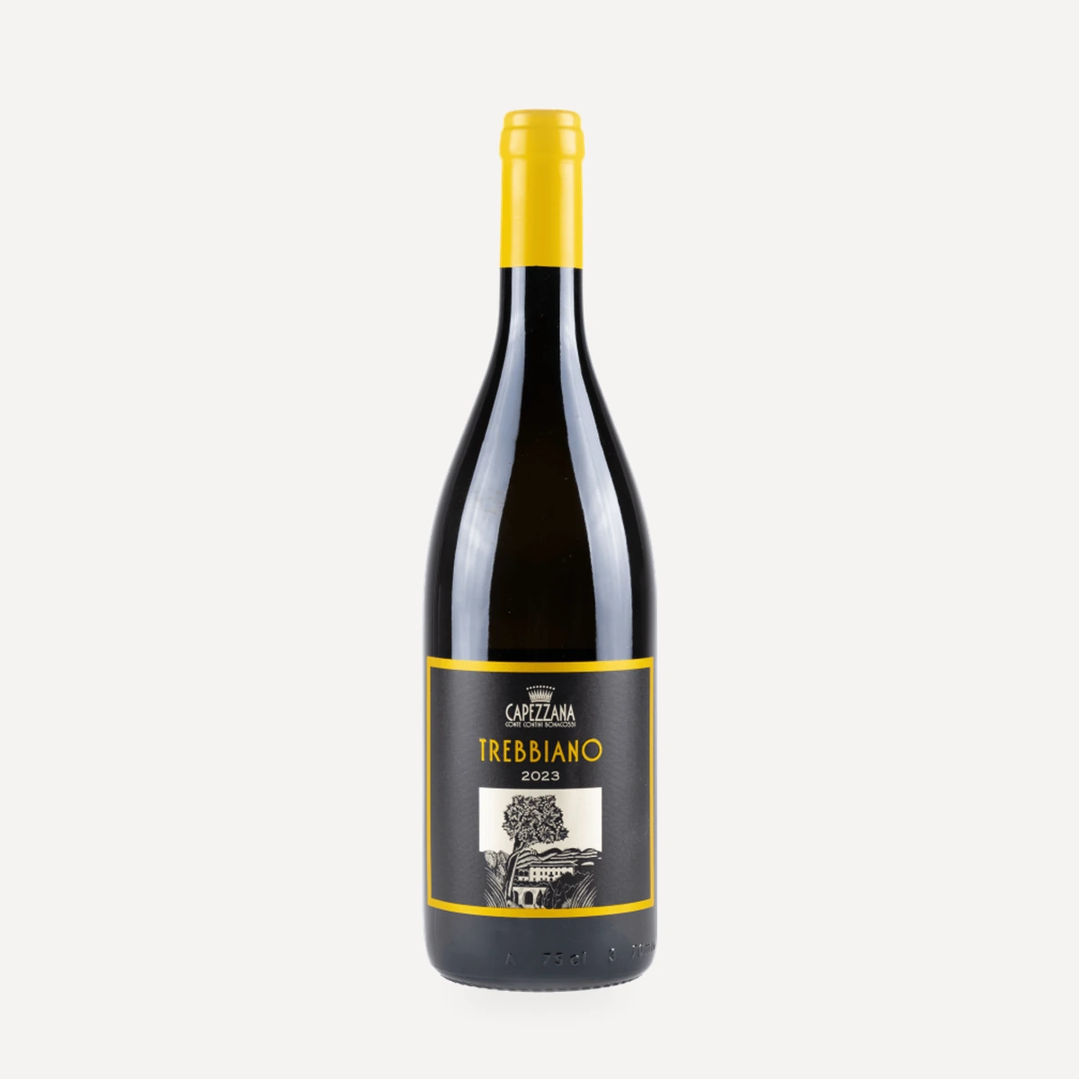 Trebbiano di Capezzana IGT wine — Capezzana winery — Dionysus