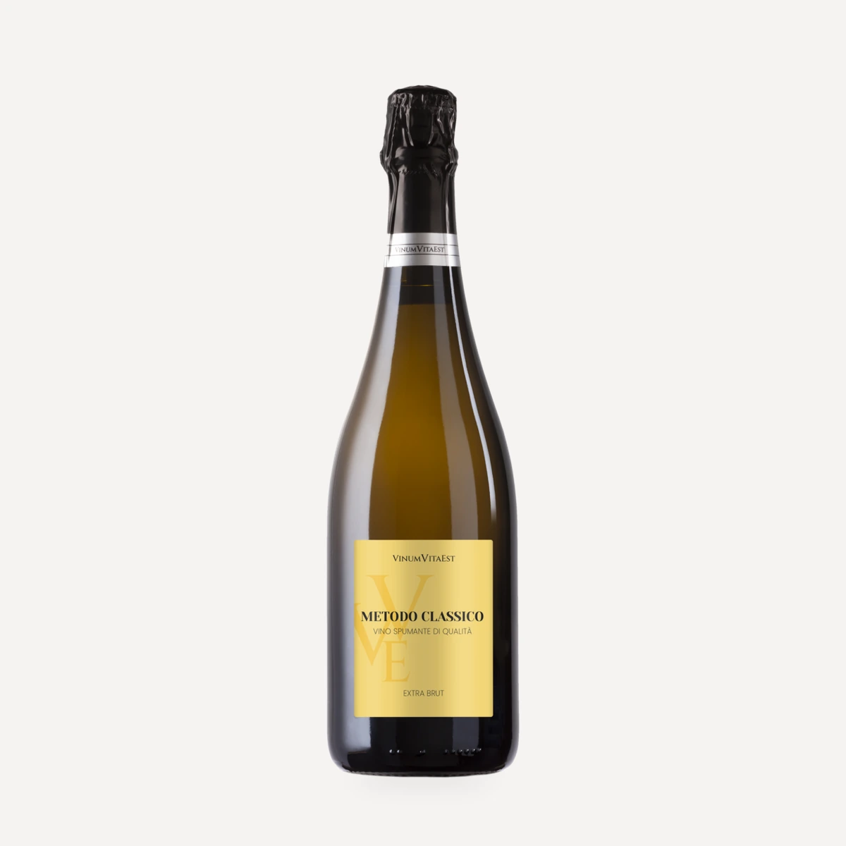 Metodo Classico Spumante Extra Brut wine — Terre del Barolo winery — Dionysus