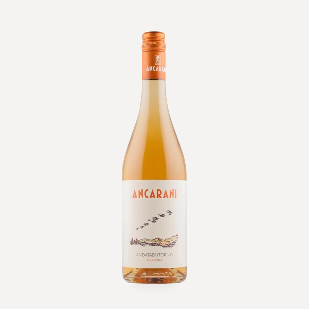 Andataeritorno Roundtrip wine — Ancarani winery — Dionysus