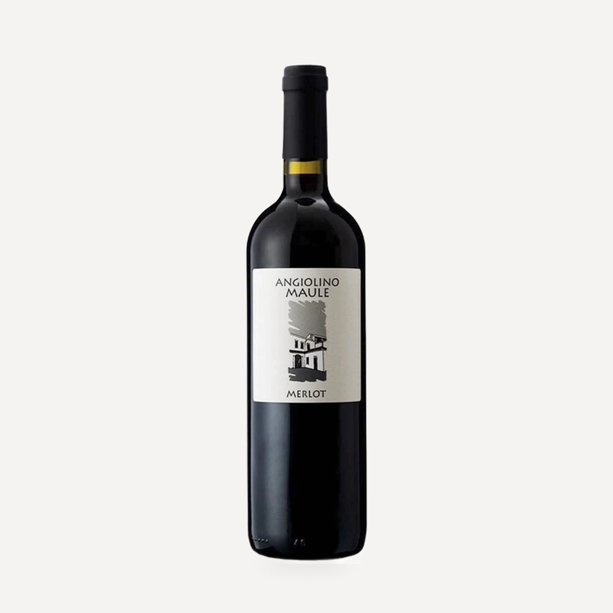 Merlot Veneto IGT wine — Angiolino Maule winery — Dionysus