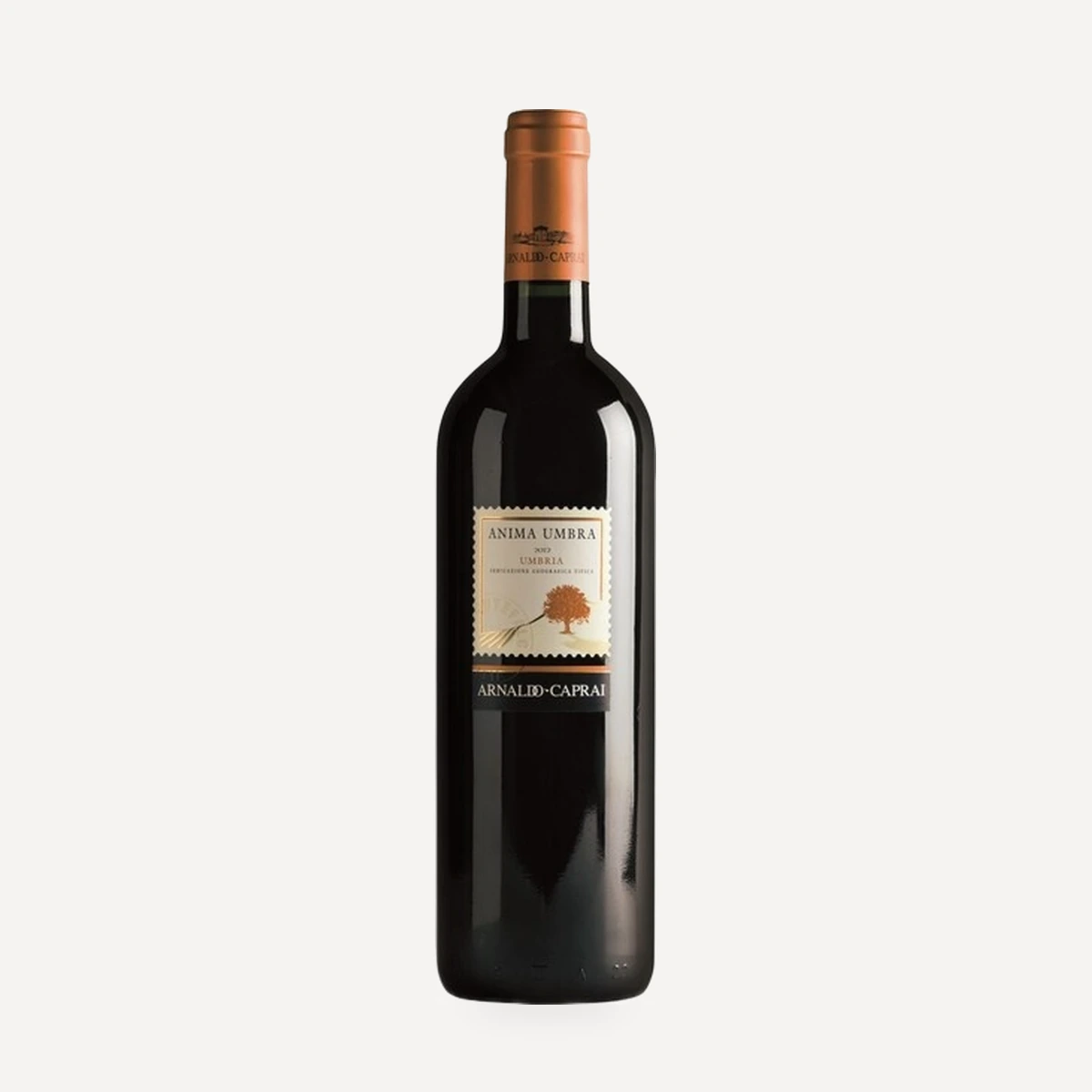 Anima Umbra Rosso wine — Arnaldo Caprai winery — Dionysus