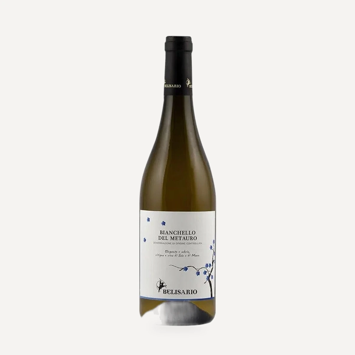 Bianchello del Metauro DOC wine — Belisario winery — Dionysus