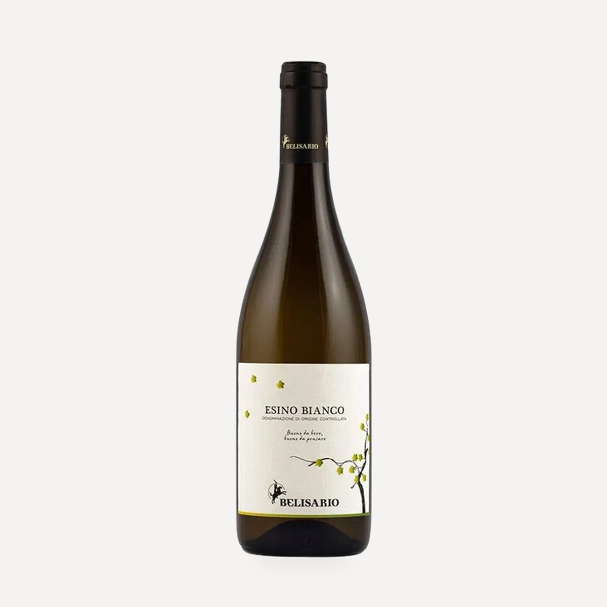 Esino Bianco DOC wine — Belisario winery — Dionysus