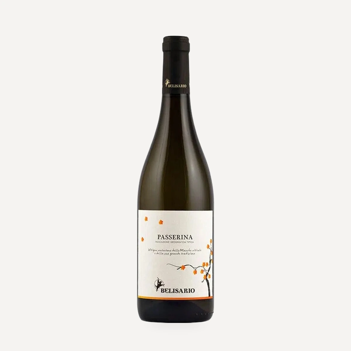 Passerina Marche IGT wine — Belisario winery — Dionysus