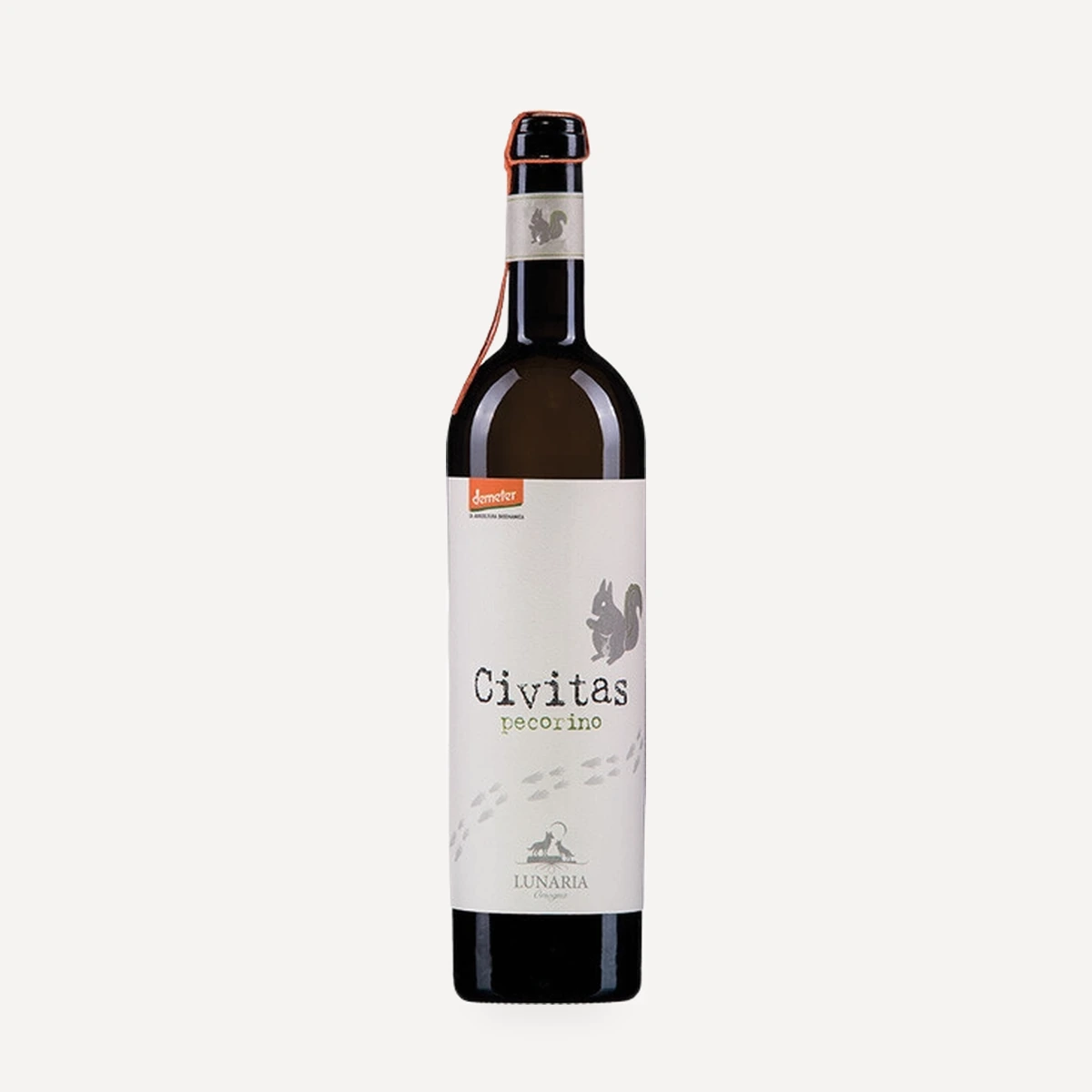 Civitas Pecorino Terre di Chieti IGT wine — Cantina Orsogna winery — Dionysus