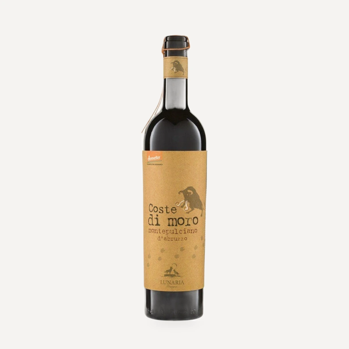 Coste di Moro Montepulciano d'Abruzzo DOP wine — Cantina Orsogna winery — Dionysus