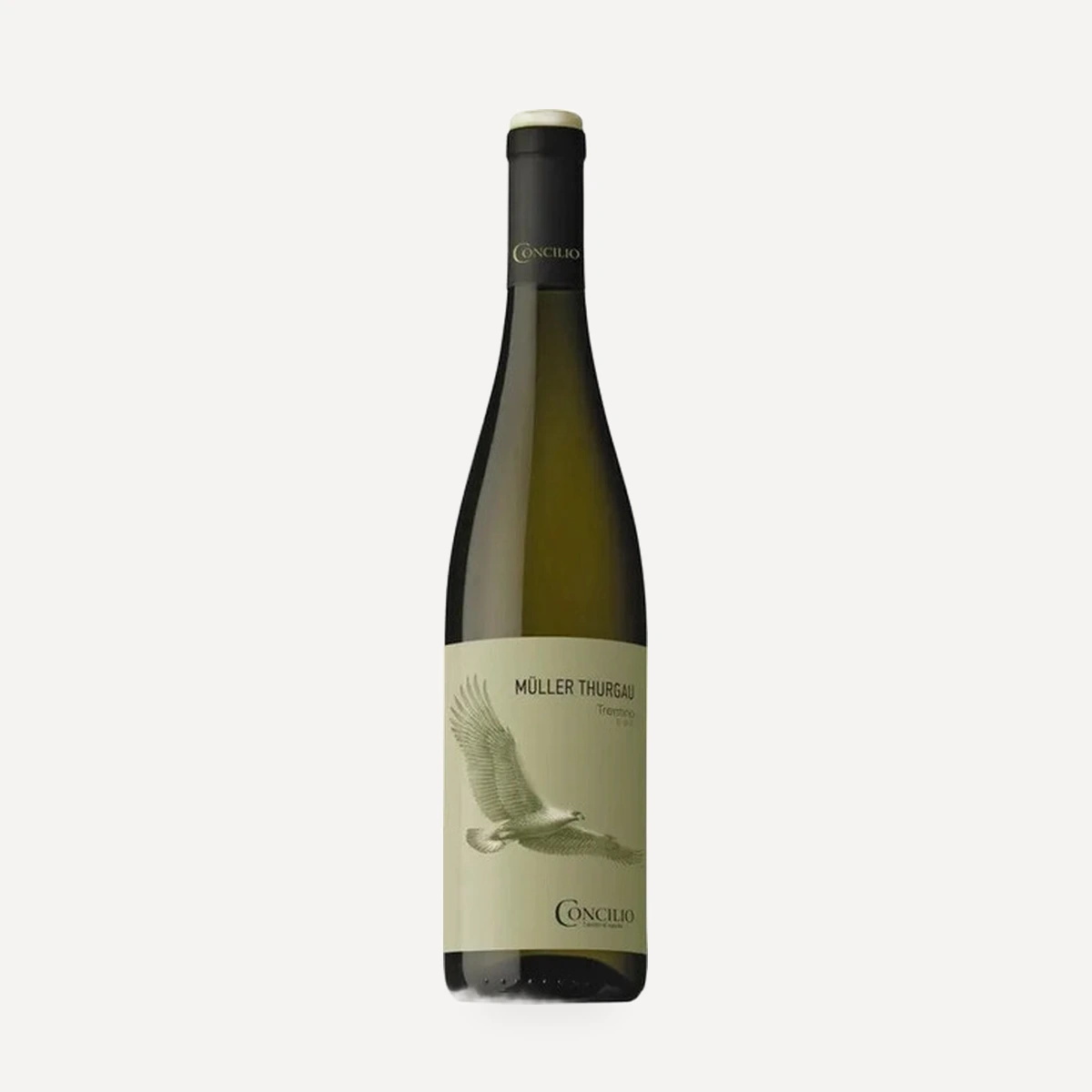 Concilio Muller Thurgau Trentino DOC wine — Cantina Sociale di Trento winery — Dionysus