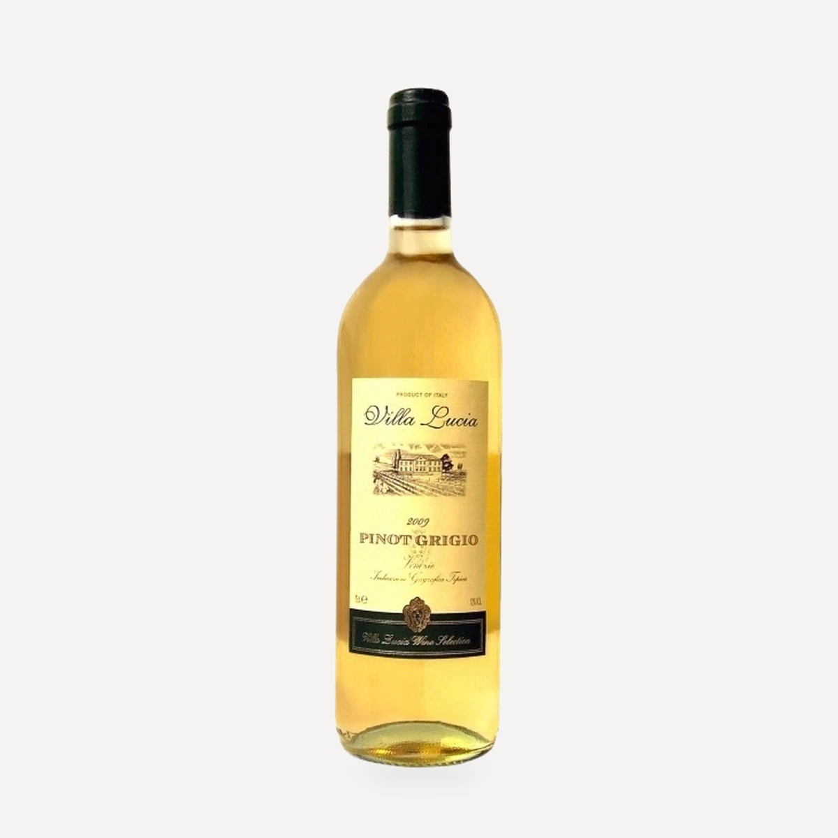 Castellani Villa Lucia Pinot Grigio IGT wine — Castellani winery — Dionysus