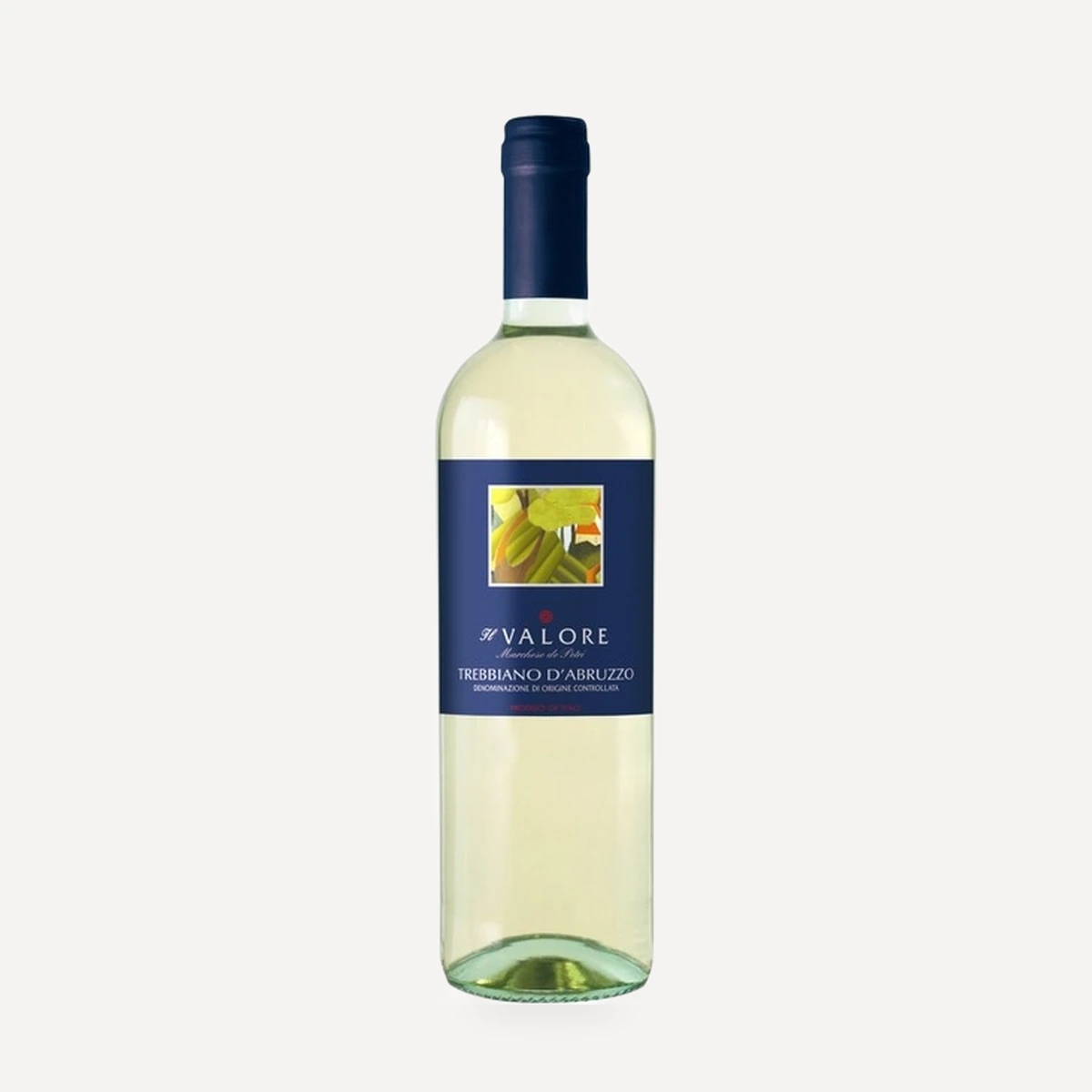 Il Valore Trebbiano d'Abruzzo DOC wine — Castellani winery — Dionysus
