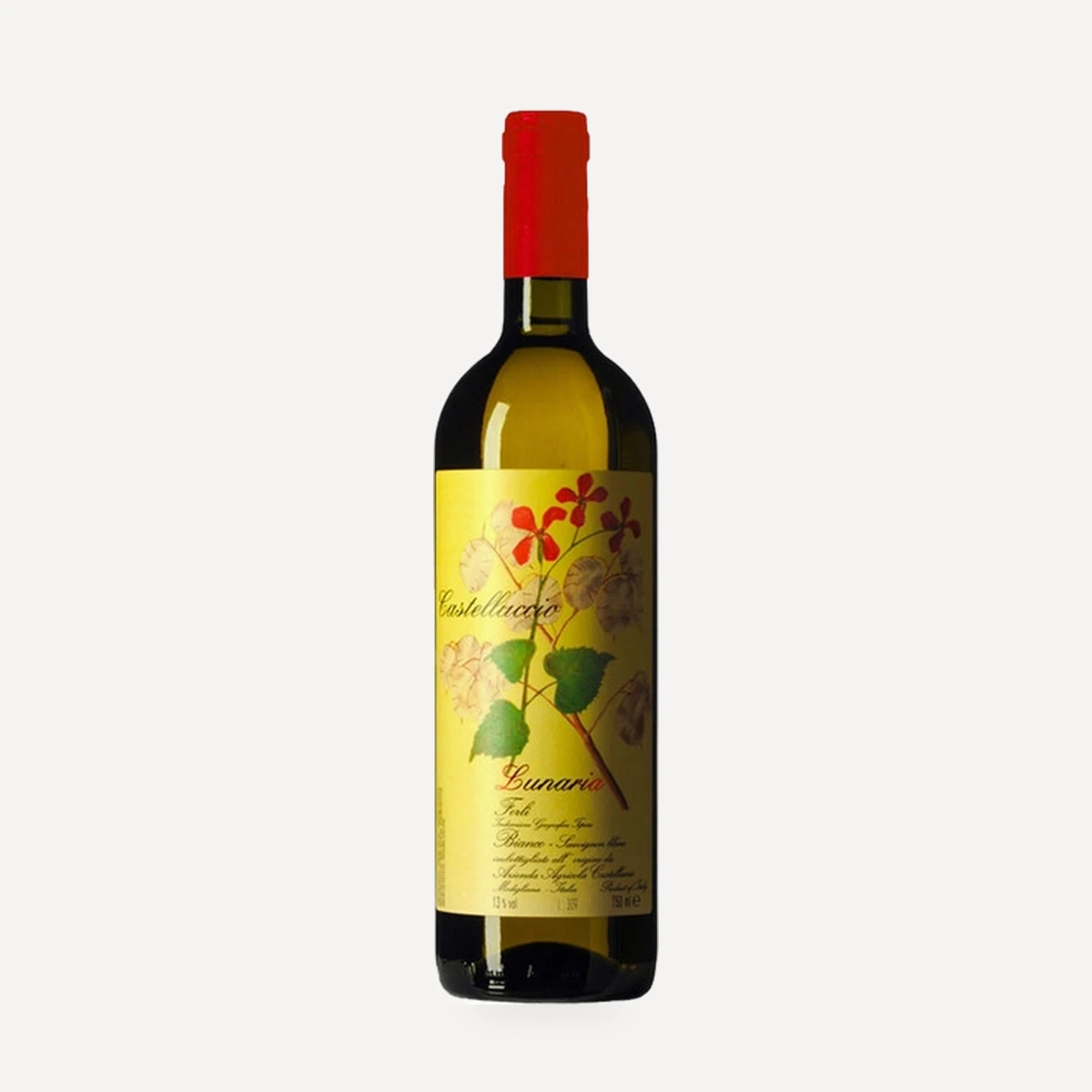 Lunaria Forlì Bianco IGT wine — Castelluccio winery — Dionysus