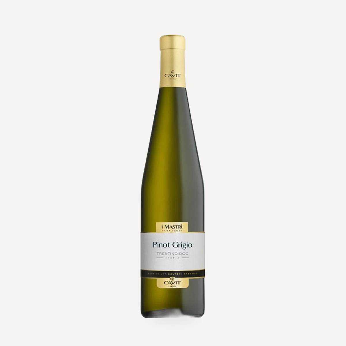 Mastri Vernacoli Pinot Grigio Trentino DOC wine — Cavit winery — Dionysus