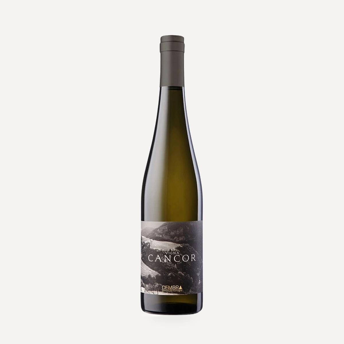 Riesling Trentino DOC wine — Cembra Cantina di Montagna winery — Dionysus
