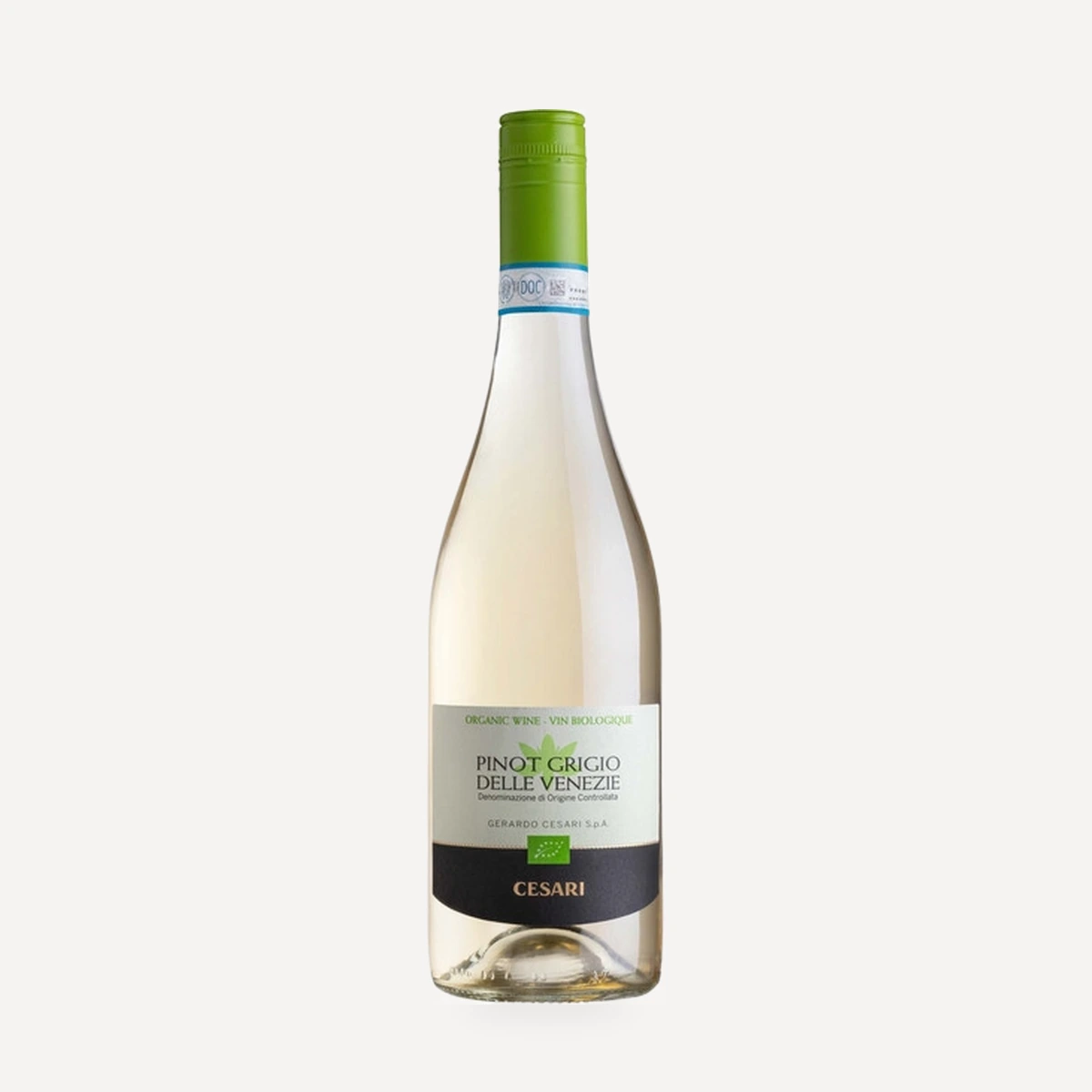 Pinot Grigio delle Venezie IGT wine — Cesari winery — Dionysus