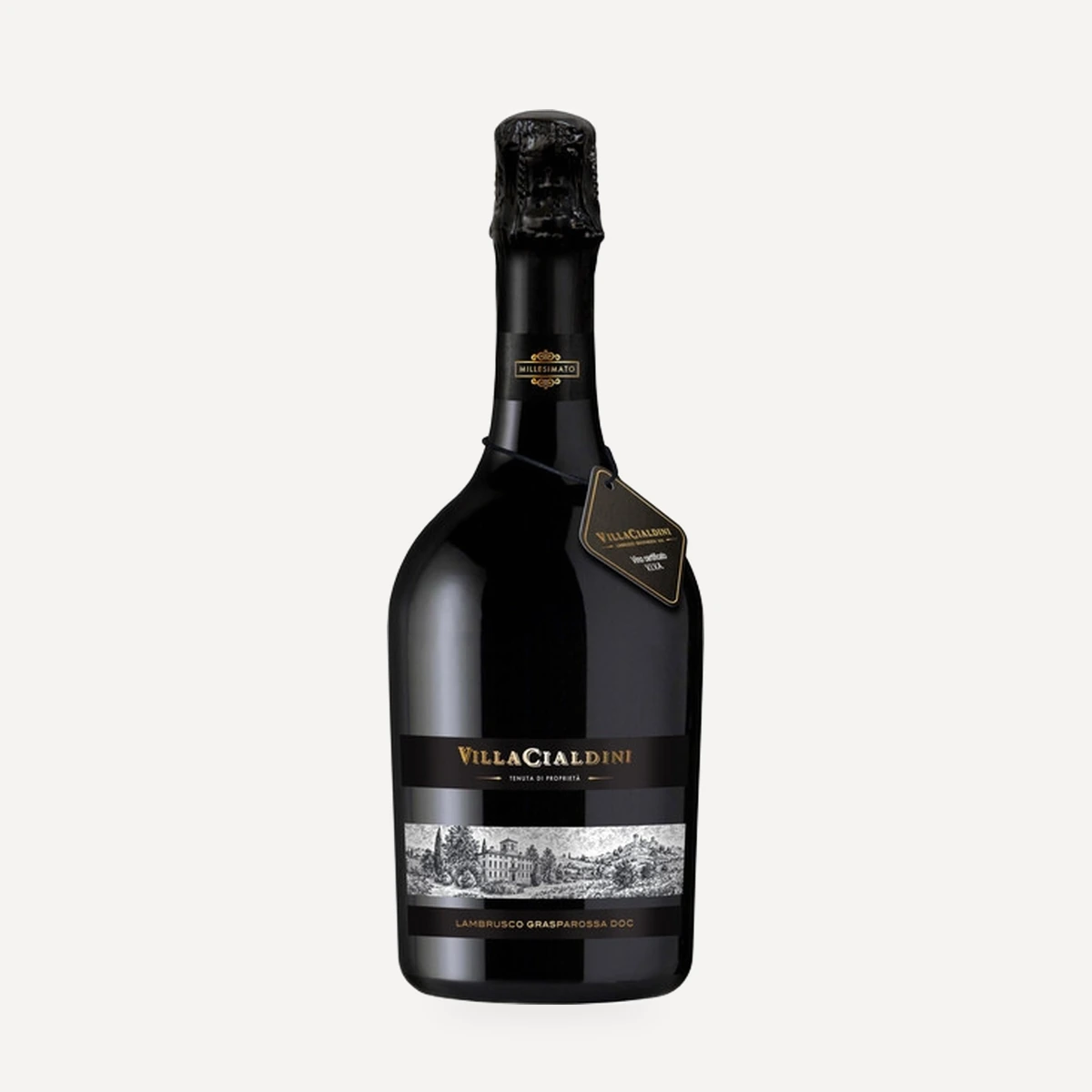 Villa Cialdini Lambrusco Grasparossa di Castelvetro DOC wine — Cleto Chiarli winery — Dionysus