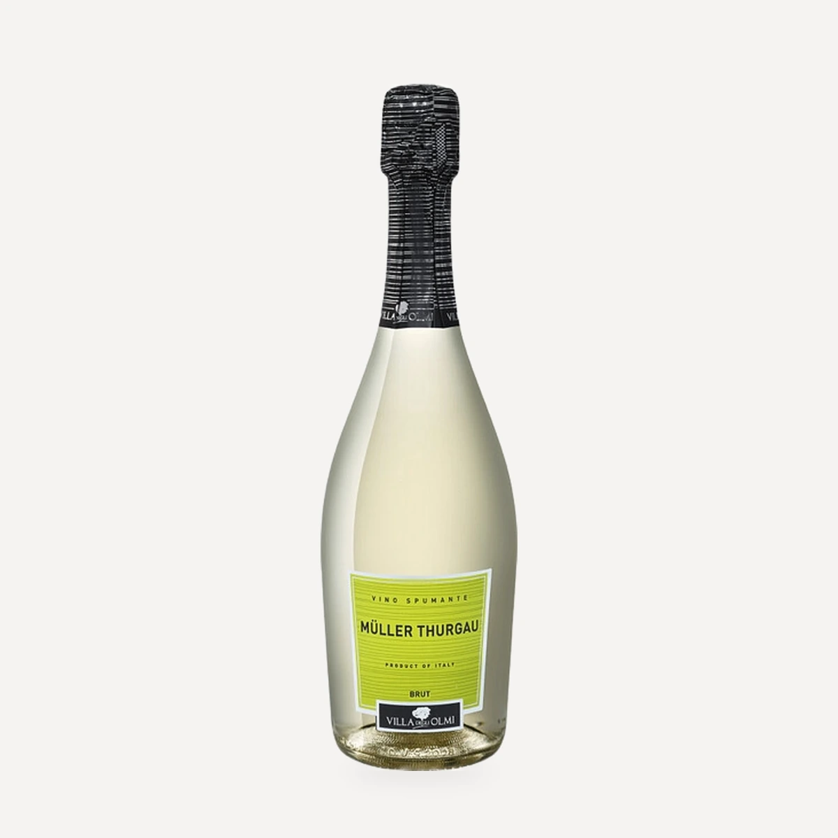 Muller Thurgau Spumante Brut wine — Degli Olmi winery — Dionysus
