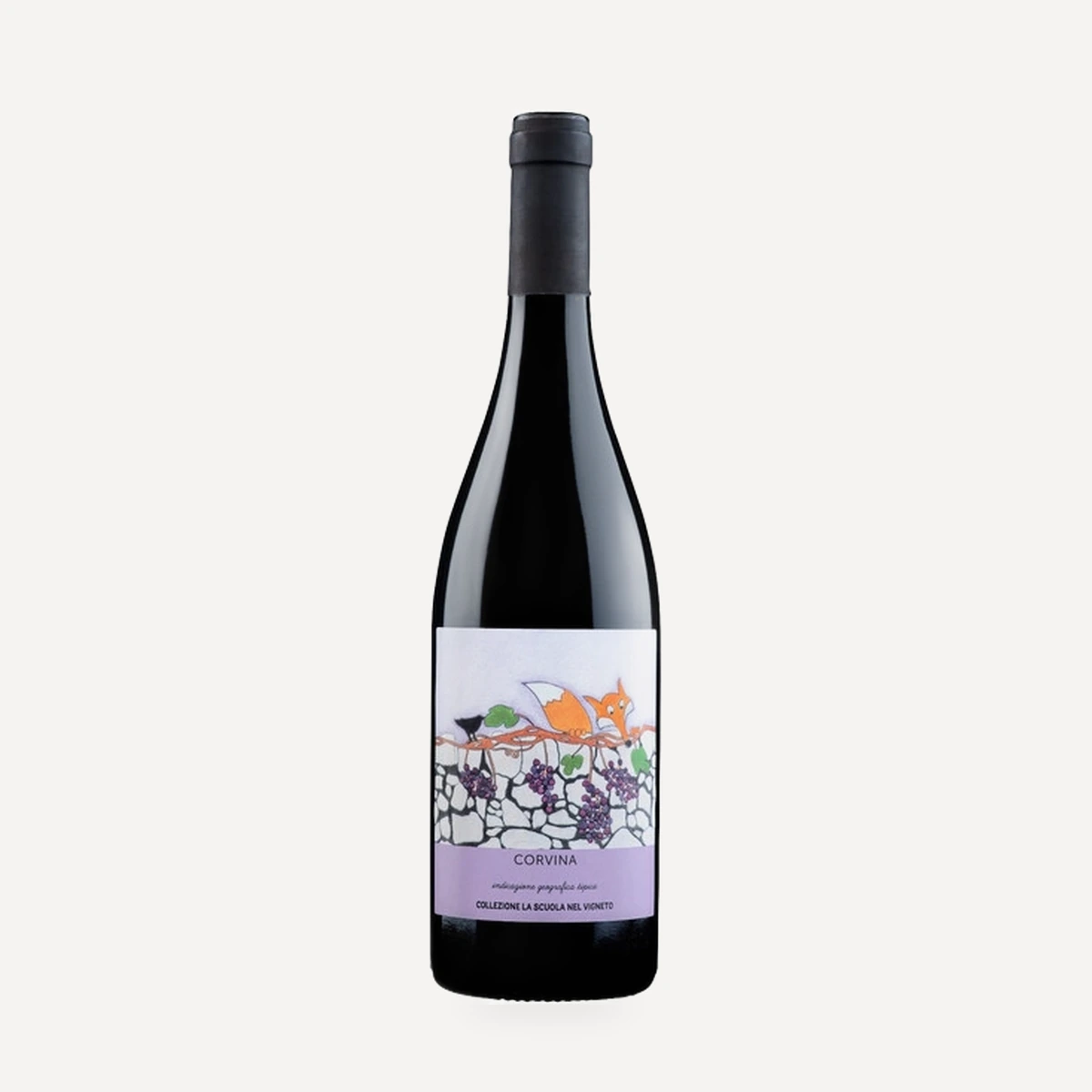Collezione La Scuola nel Vigneto Corvina Veronese IGT wine — di Negrar winery — Dionysus