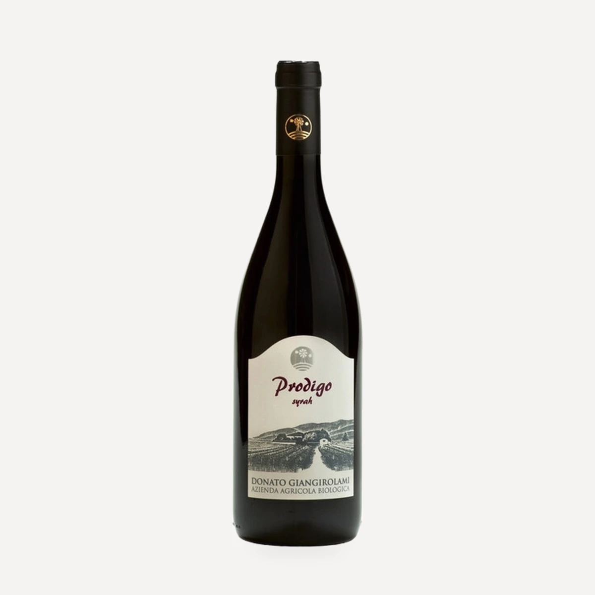 Prodigo Syrah Lazio IGP wine — Donato Giangirolami winery — Dionysus