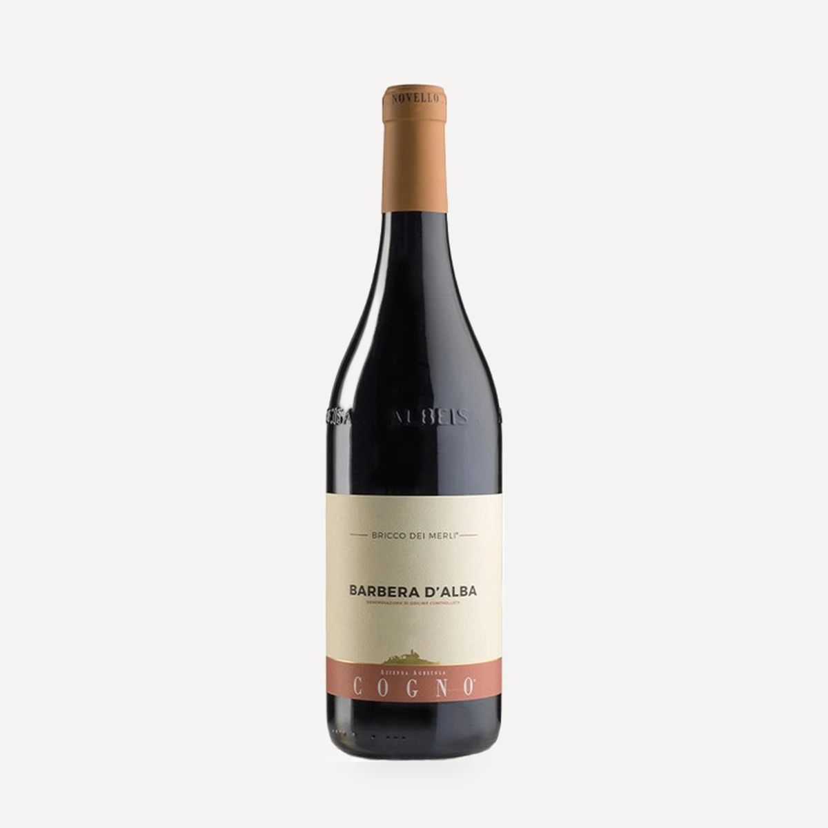 Barbera d’Alba Bricco dei Merli DOC wine — Elvio Cogno winery — Dionysus