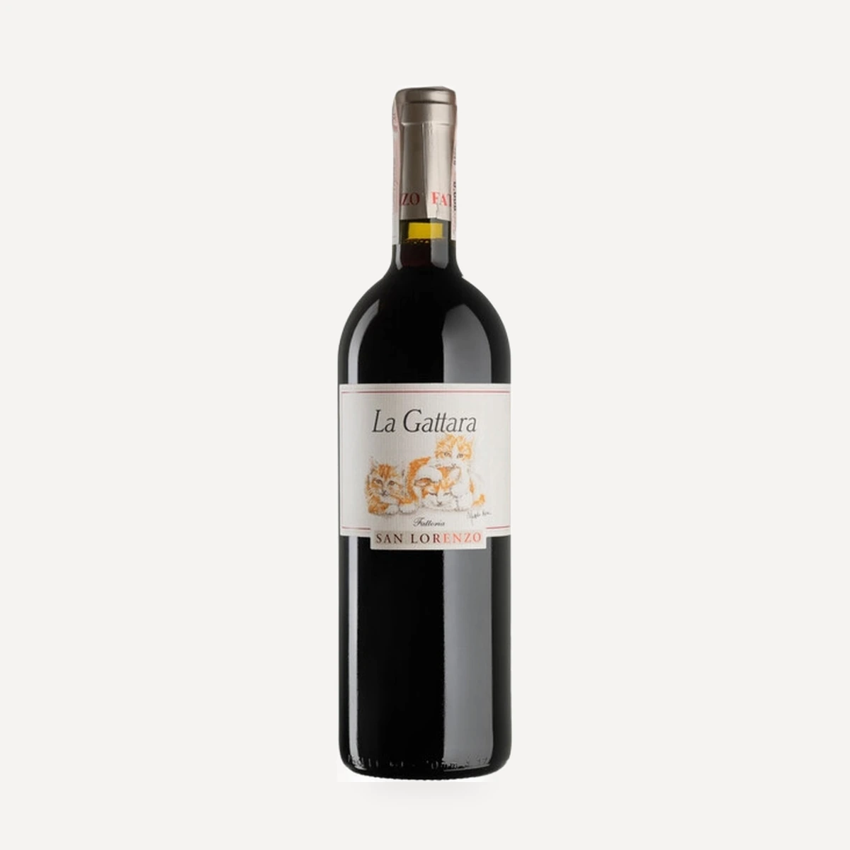 La Gattara Rosso Conero DOC wine — Fattoria San Lorenzo winery — Dionysus