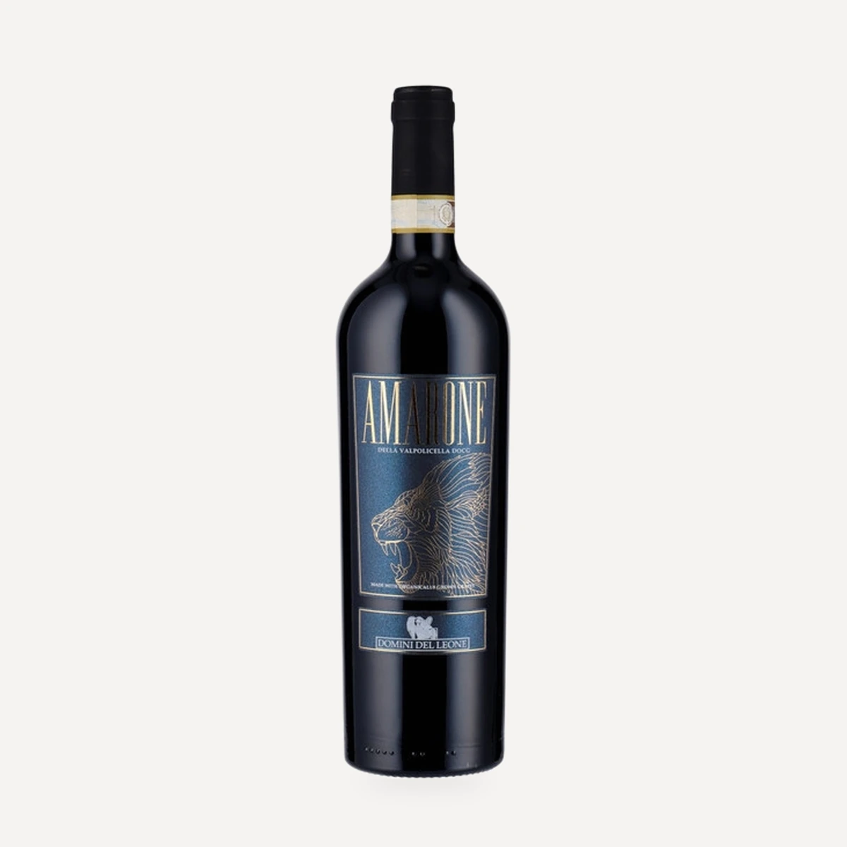 Domini del Leone Amarone della Valpolicella DOCG wine — Fidora winery — Dionysus