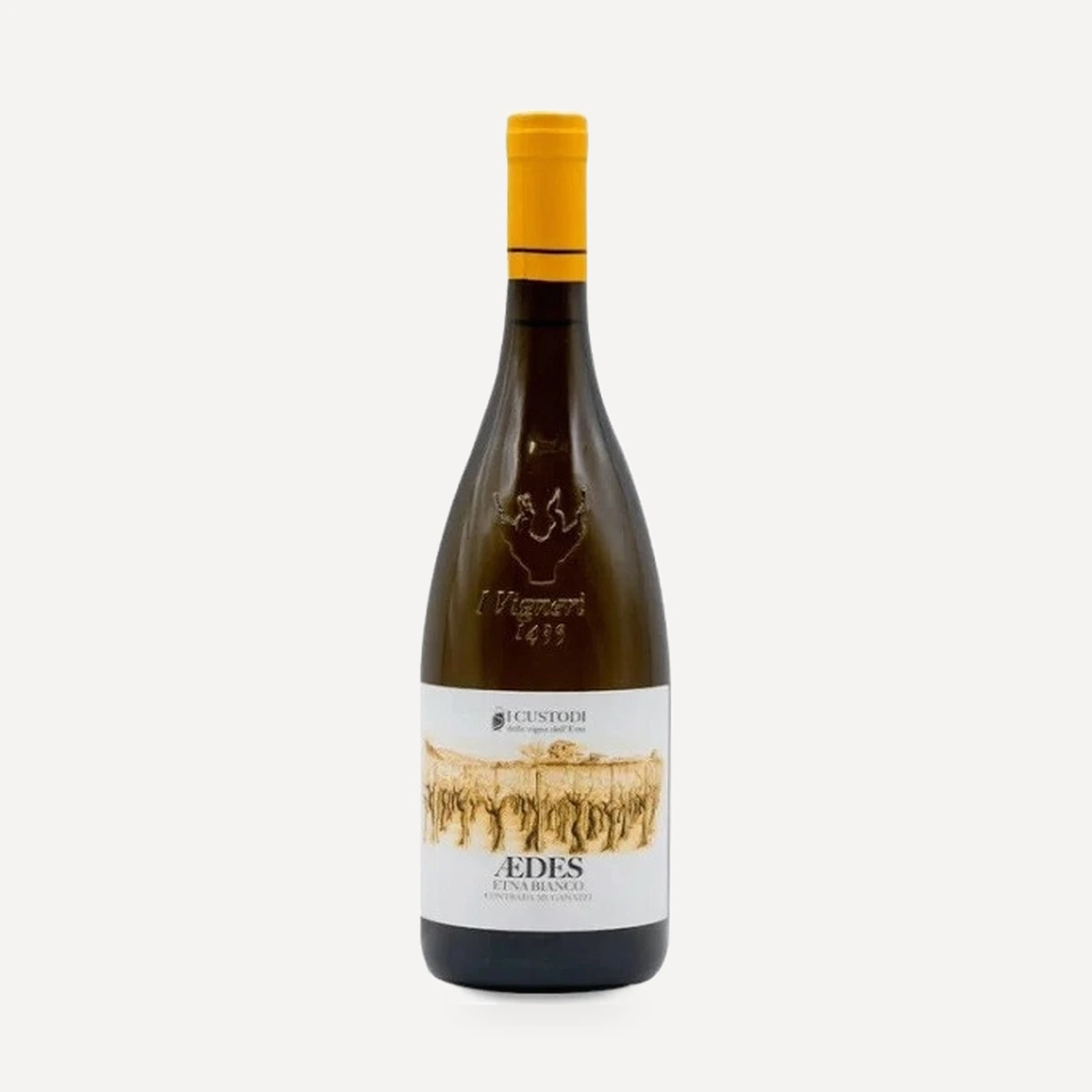 Aedes Etna Bianco DOC wine — I Custodi winery — Dionysus