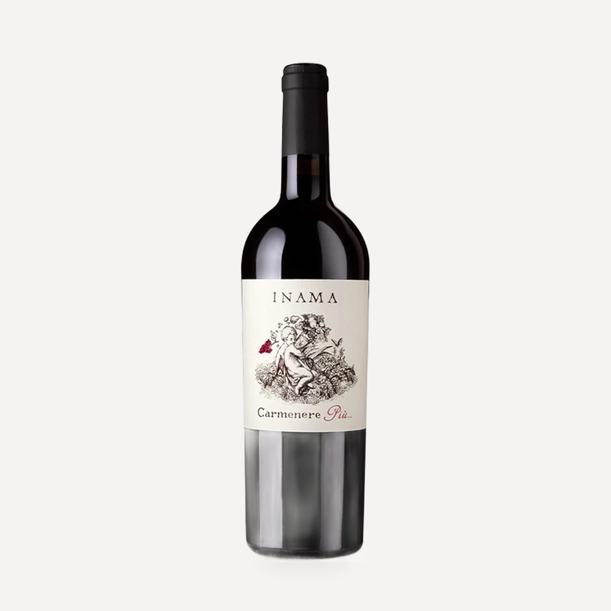 Carmenere Piu Veneto IGT wine — Inama winery — Dionysus