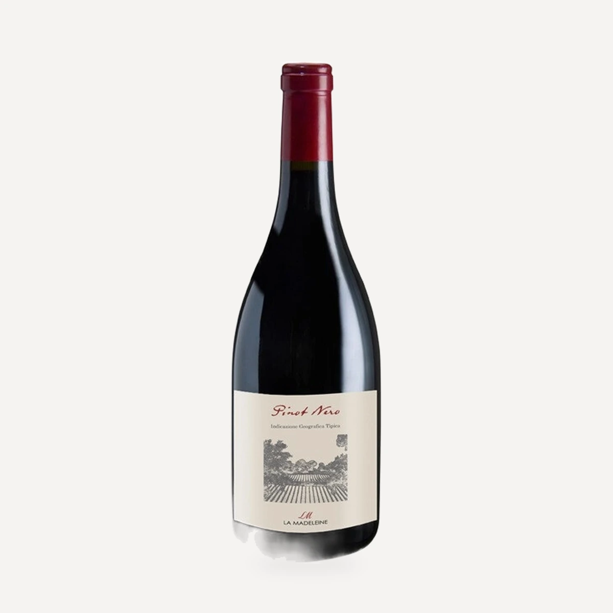 Pinot Nero Umbria IGT wine — La Madeleine winery — Dionysus