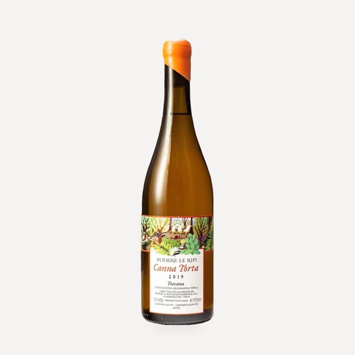 Canna Torta wine — Le Ripi winery — Dionysus