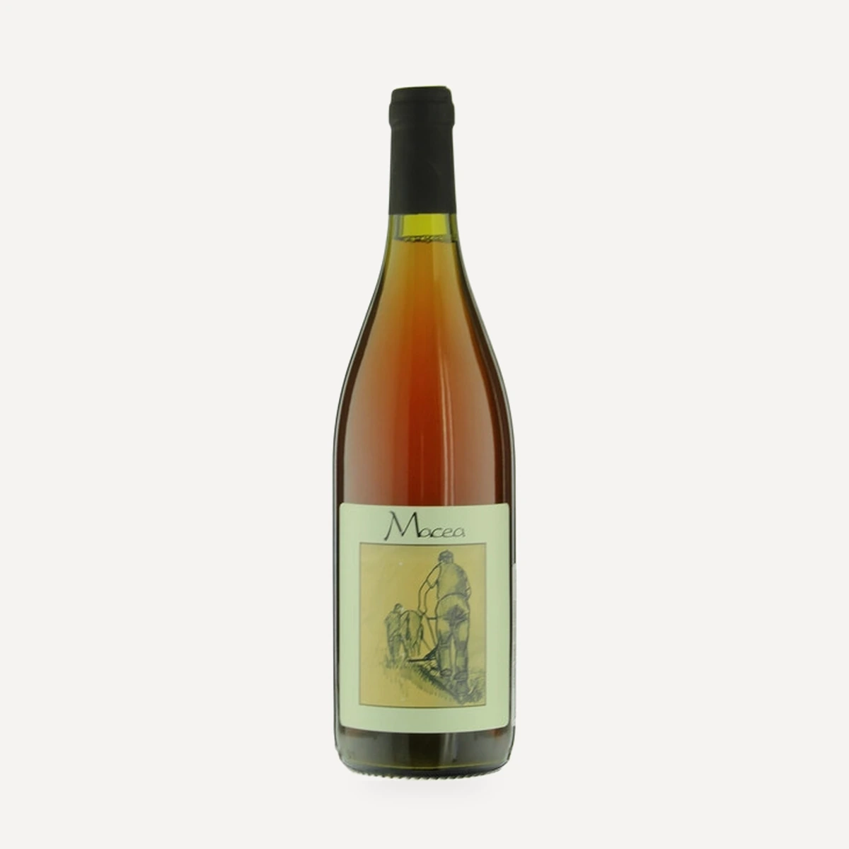 Pinot Grigio Toscana IGT wine — Macea winery — Dionysus