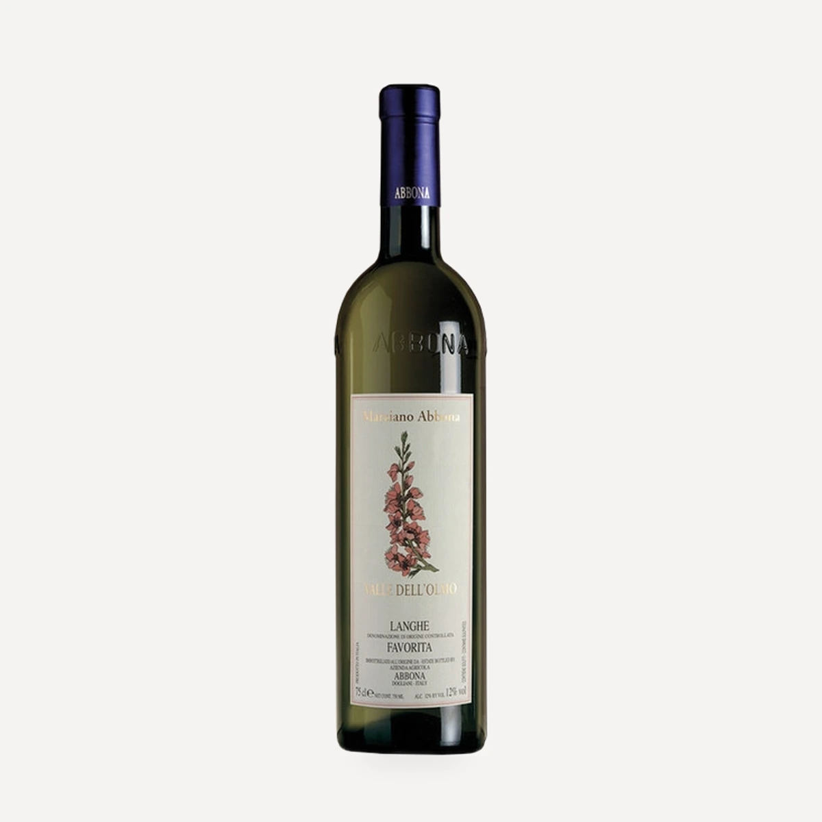 Langhe Favorita Valle dell’Olmo DOC wine — Marziano Abbona winery — Dionysus
