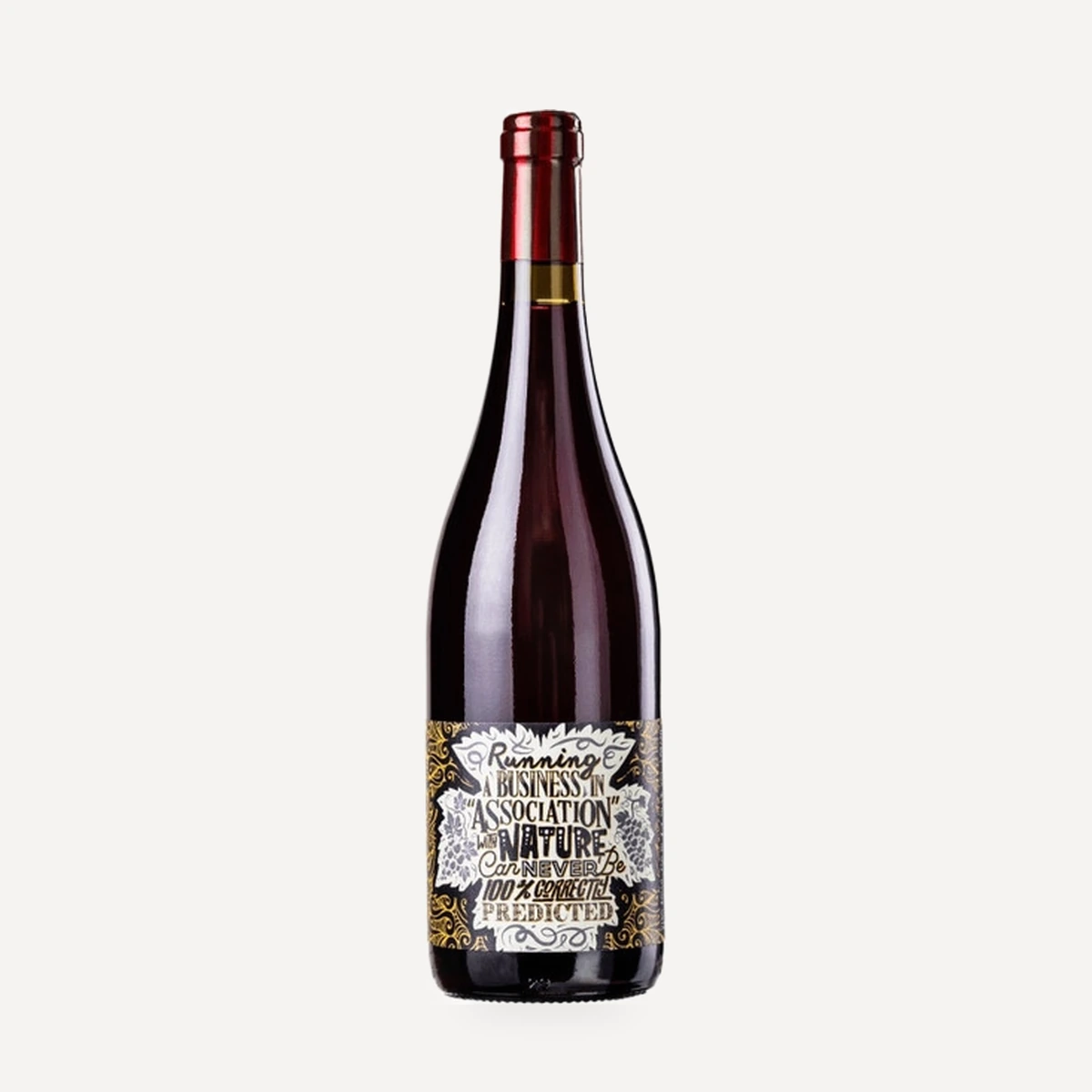 Running a Business VdT wine — Masseria La Cattiva winery — Dionysus