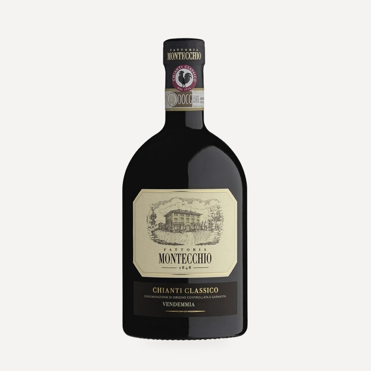 Primum Chianti Classico DOCG wine — Montecchio winery — Dionysus