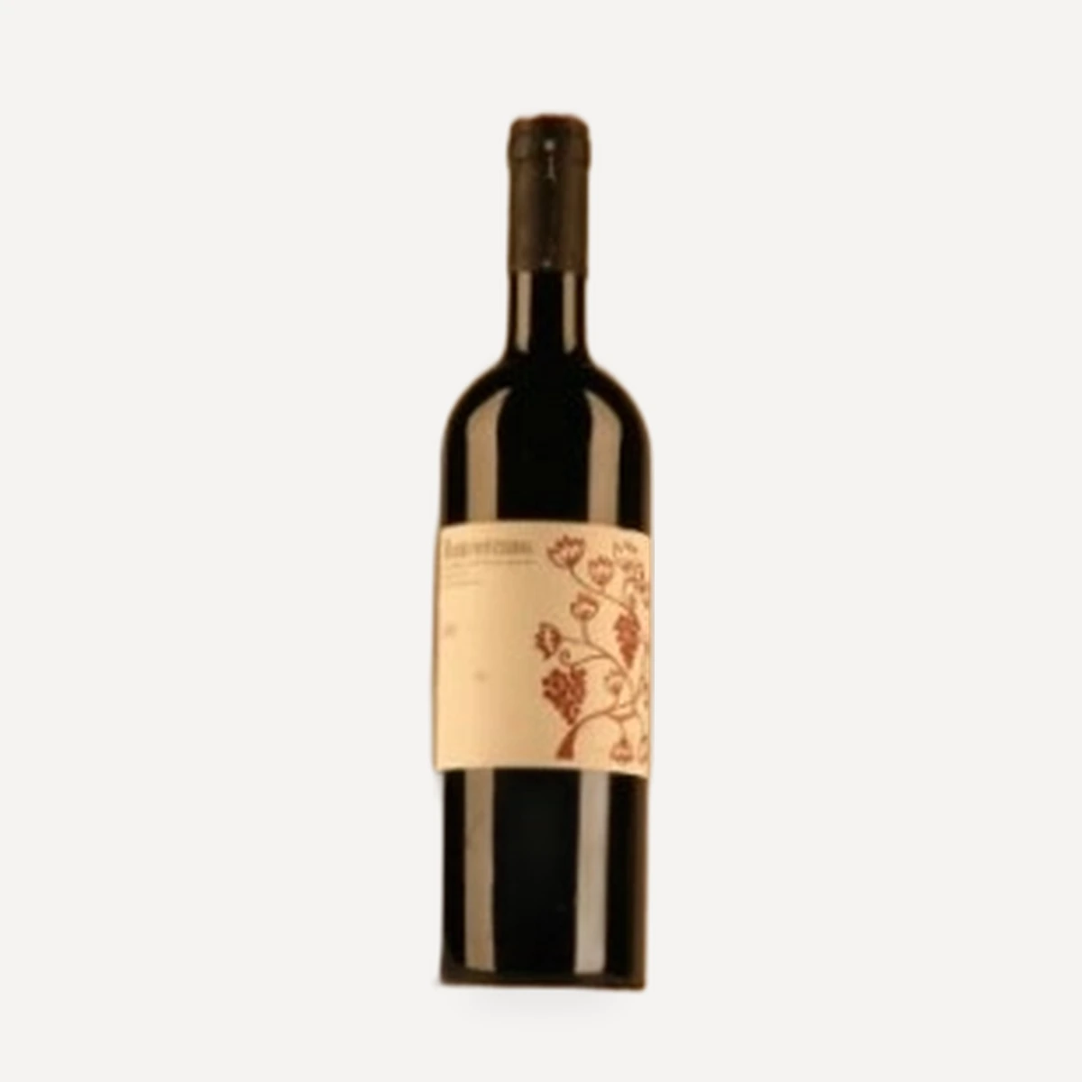 Colli di Salerno IGT wine — Montevetrano winery — Dionysus