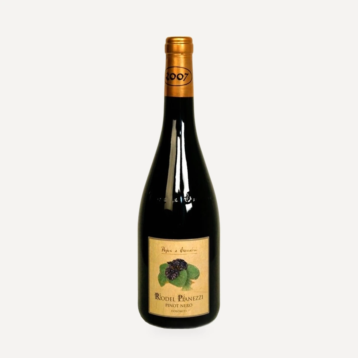 Pinot Nero Rodel Pianezzi wine — Pojer e Sandri winery — Dionysus