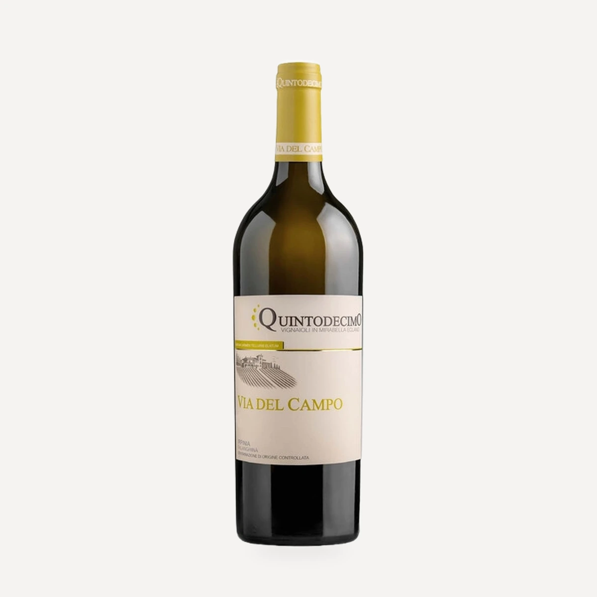 Via del Campo wine — Quintodecimo winery — Dionysus