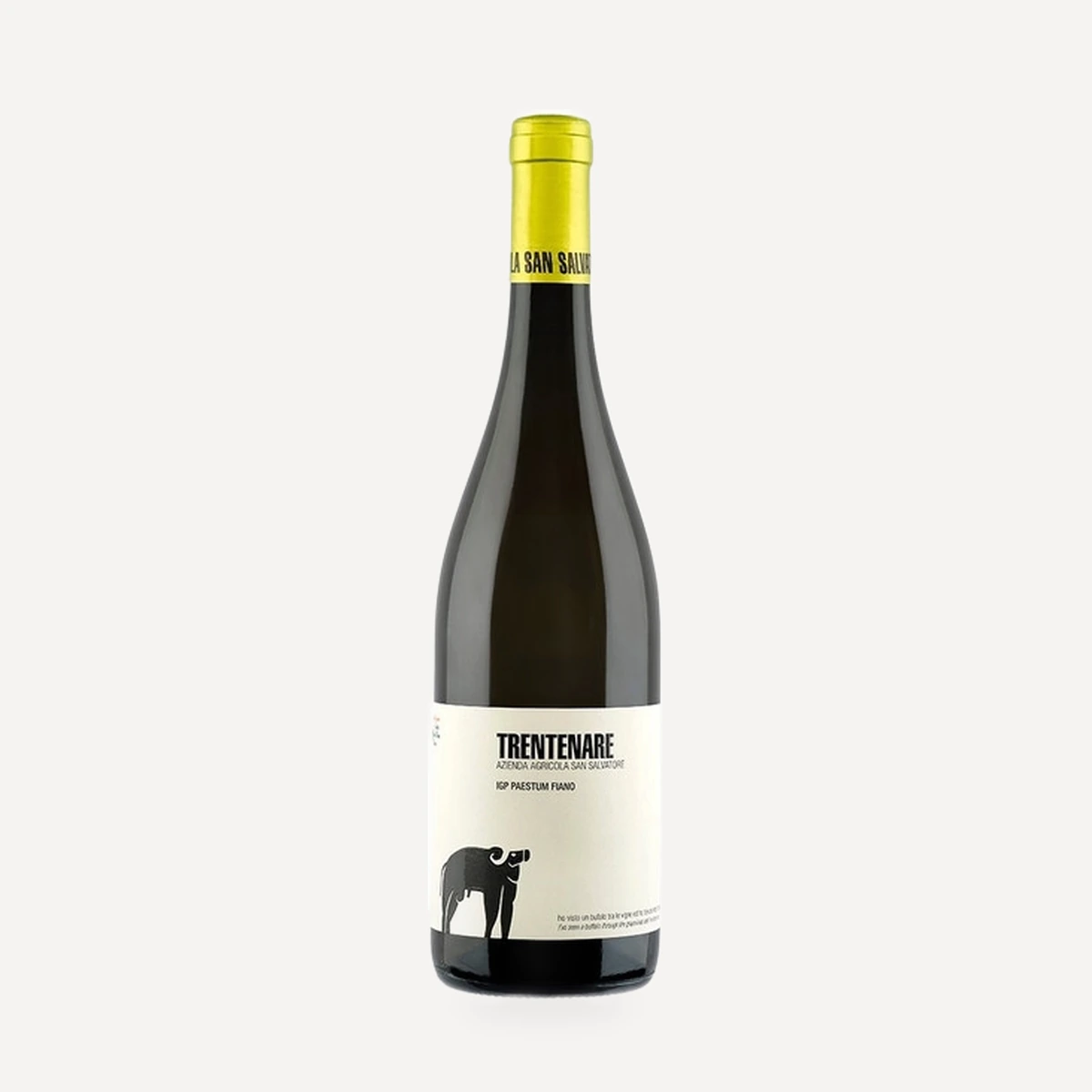 Trentenare Fiano Paestum IGP wine — San Salvatore winery — Dionysus