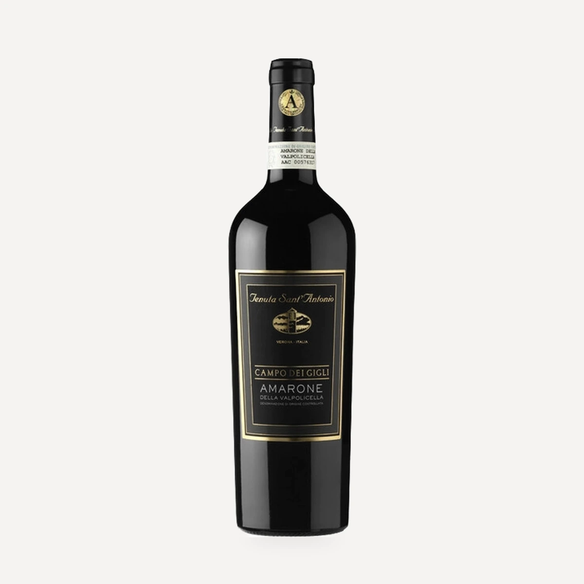 Campo dei Gigli – Amarone della Valpolicella wine — Tenuta Sant'Antonio winery — Dionysus