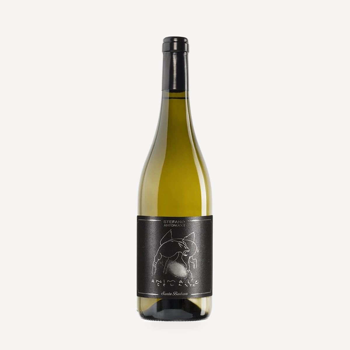 Animale Celeste wine — Santa Barbara winery — Dionysus