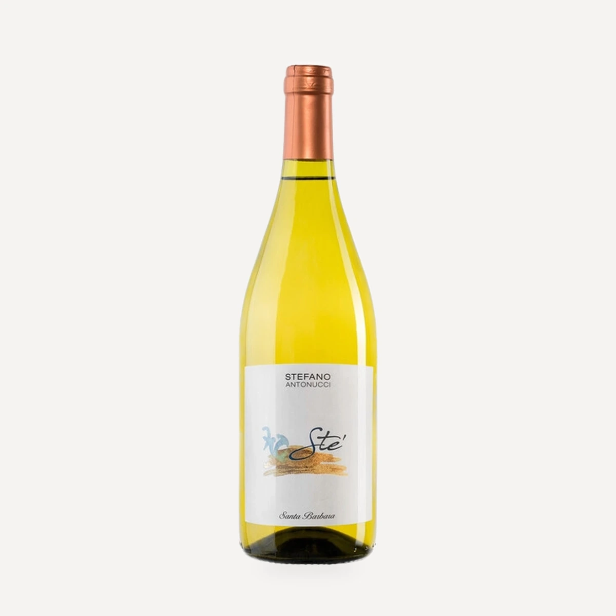 Ste Verdicchio dei Castelli di Jesi DOC wine — Santa Barbara winery — Dionysus