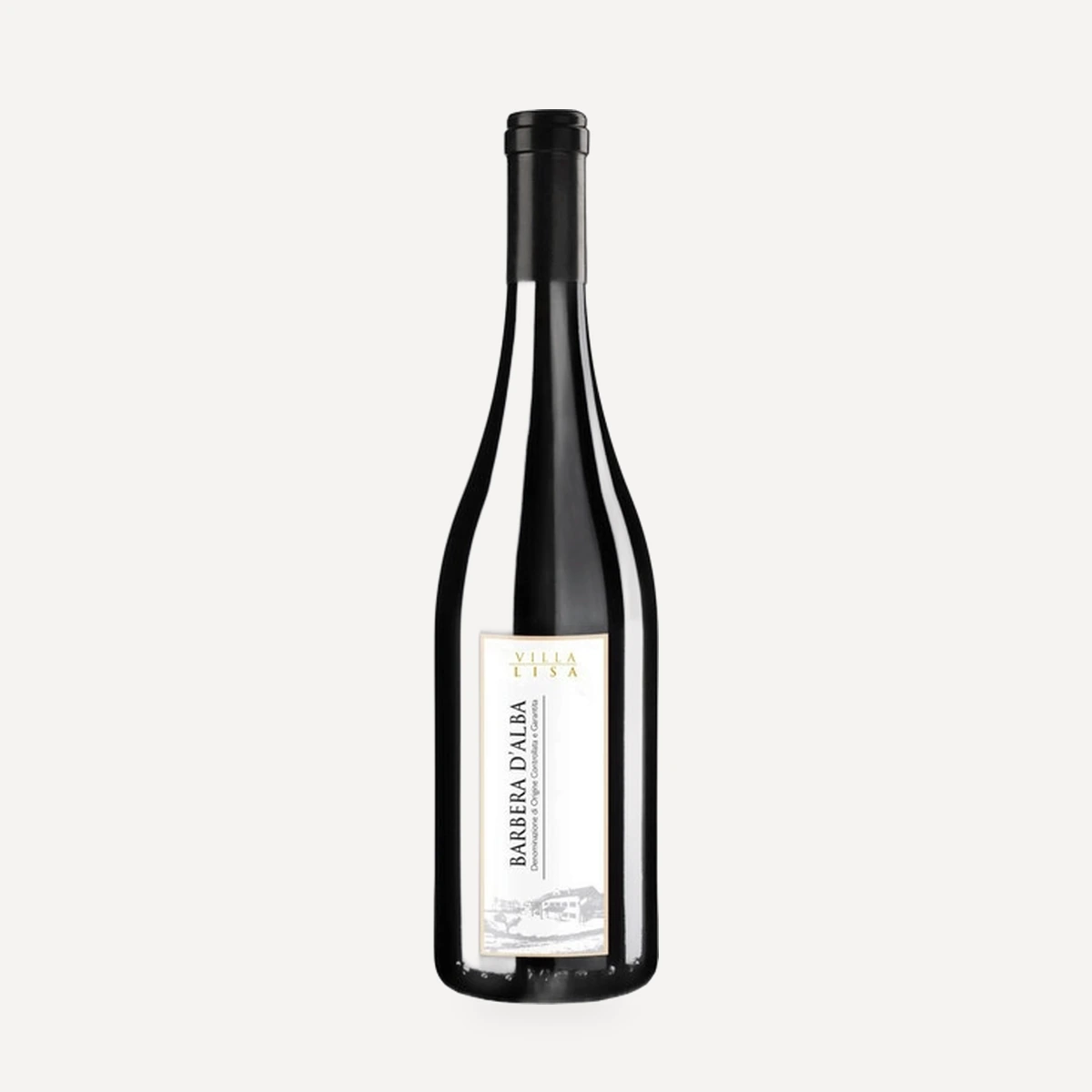 Villa Lisa Barbera d'Alba DOC wine — Sartirano winery — Dionysus
