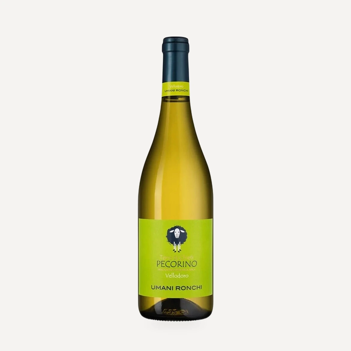 Vellodoro Pecorino Terre di Chieti IGT wine — Umani Ronchi winery — Dionysus