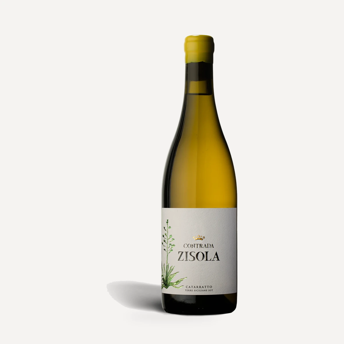 Contrada Zisola Catarratto Terre Siciliane IGT wine — Zisola winery — Dionysus