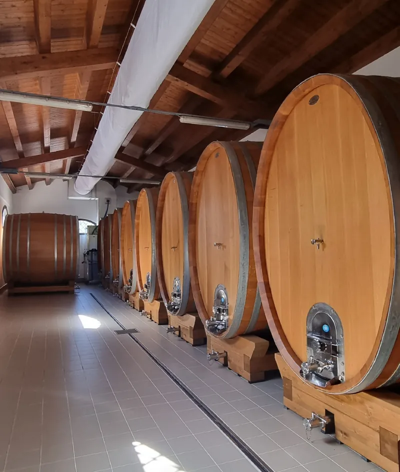 Tenuta Terre Nere winery — Sicily — Dionysus