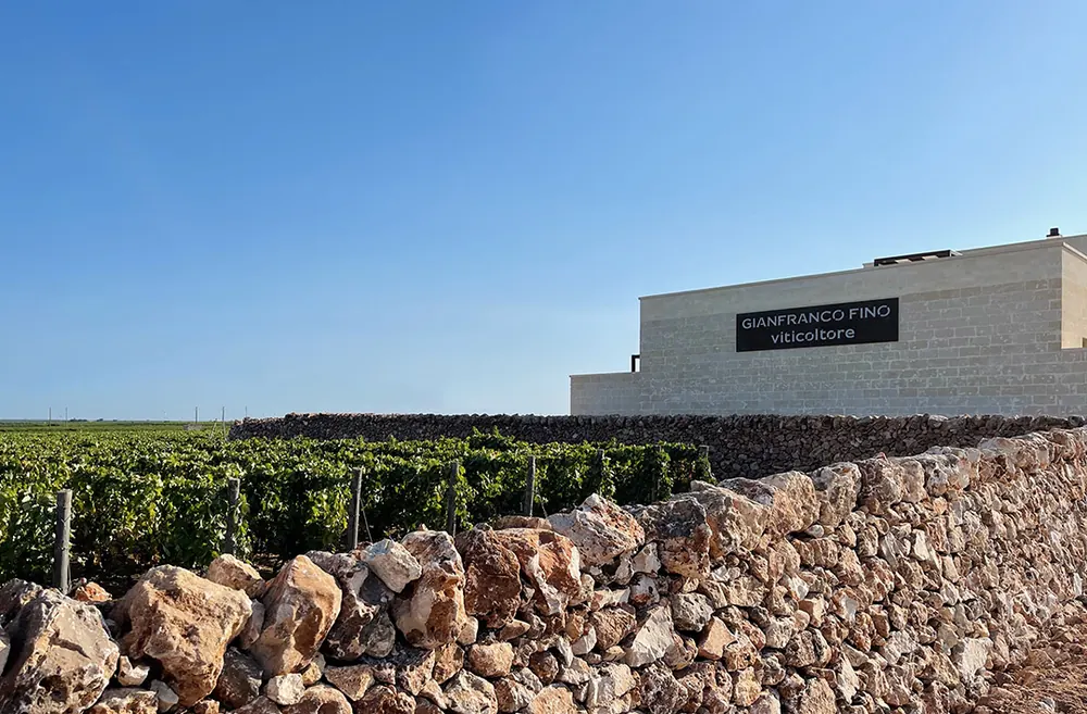 Gianfranco Fino winery — Puglia — Dionysus