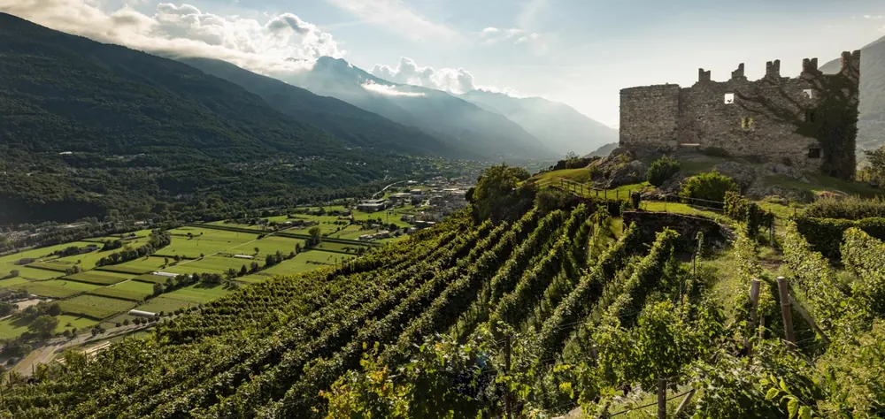 Nino Negri winery — Lombardia — Dionysus