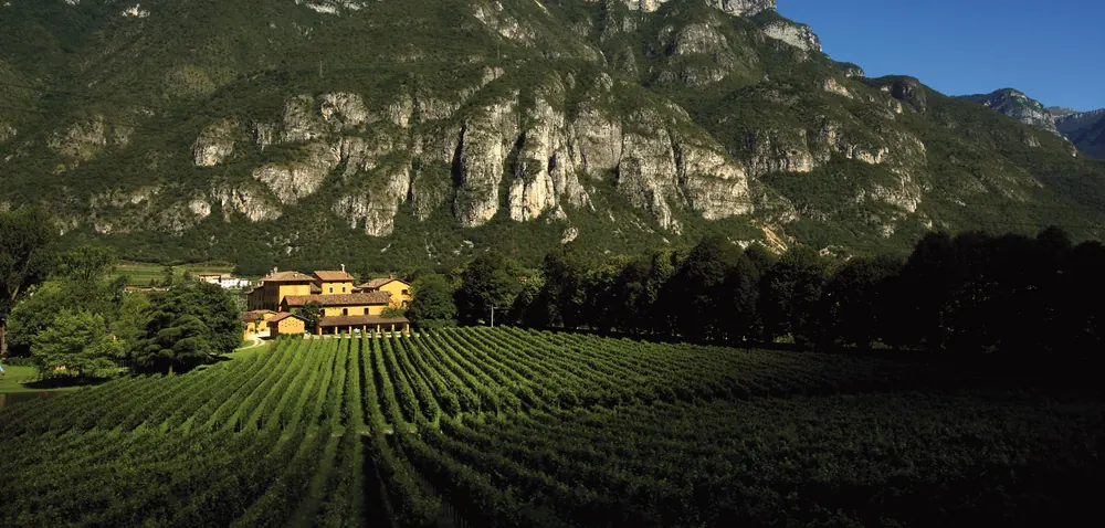 Tenuta San Leonardo winery — Trentino Alto Adige — Dionysus